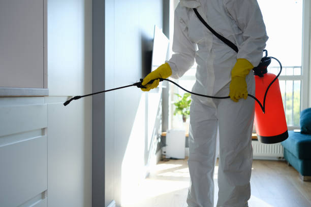 Certified Mold Removal in East St Louis, IL